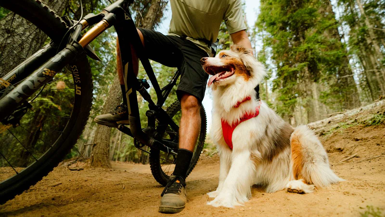 Gear Up for Every Adventure